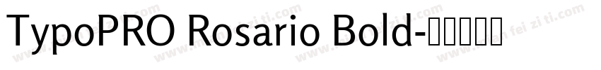 TypoPRO Rosario Bold字体转换